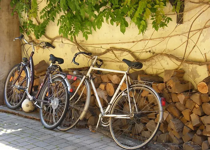 Dom wakacyjny La Maison Jaune